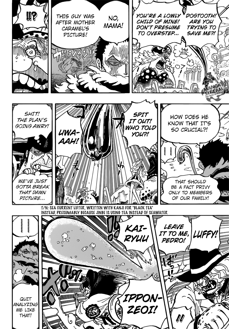 One Piece 863
