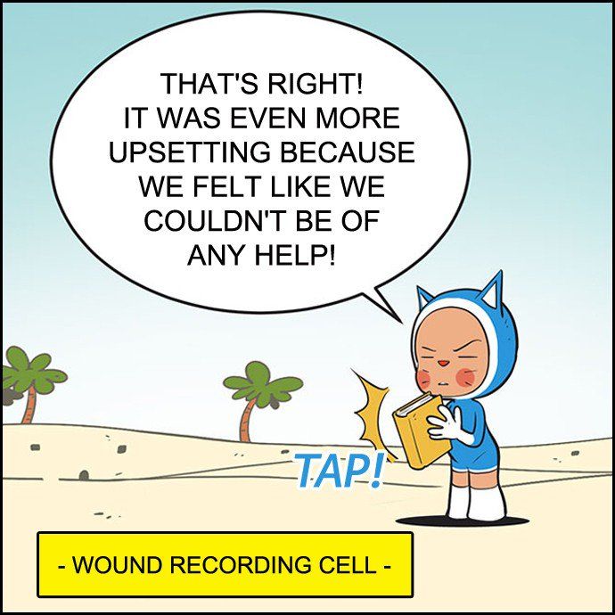 Yumi's Cells 293