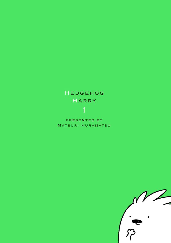 Hedgehog Harry 33