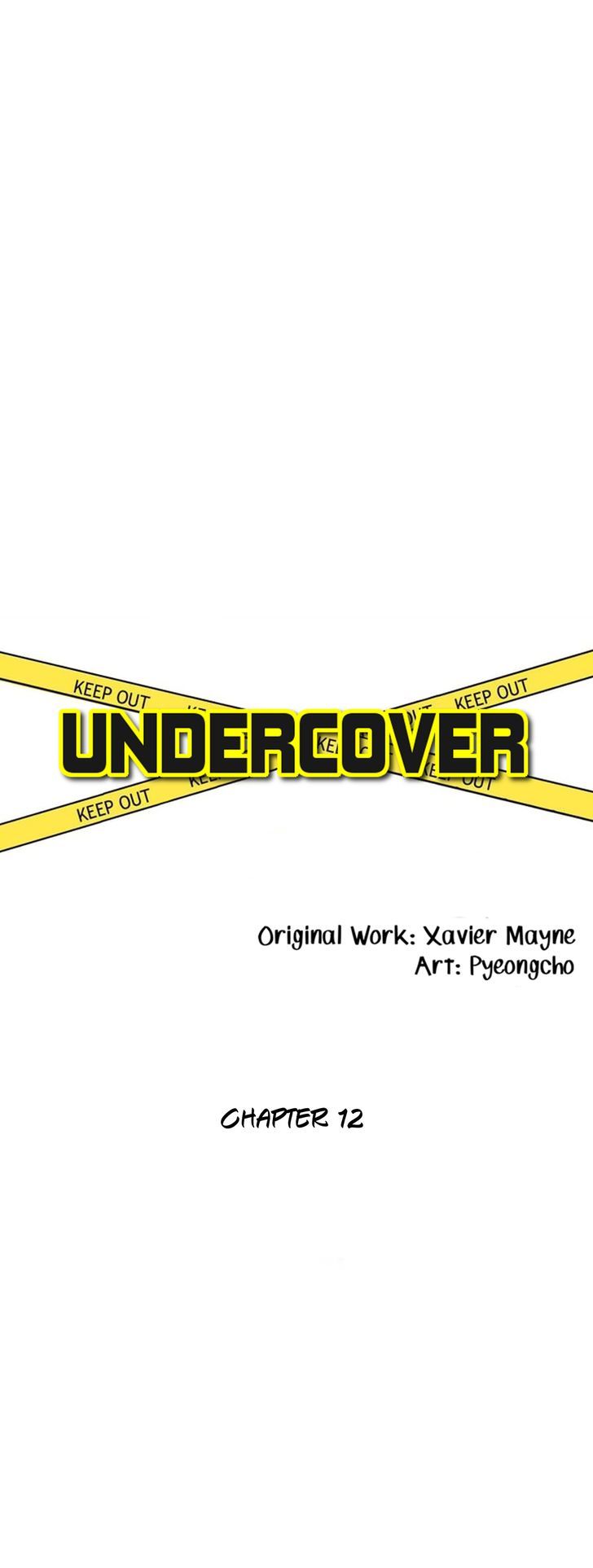 Undercover 12