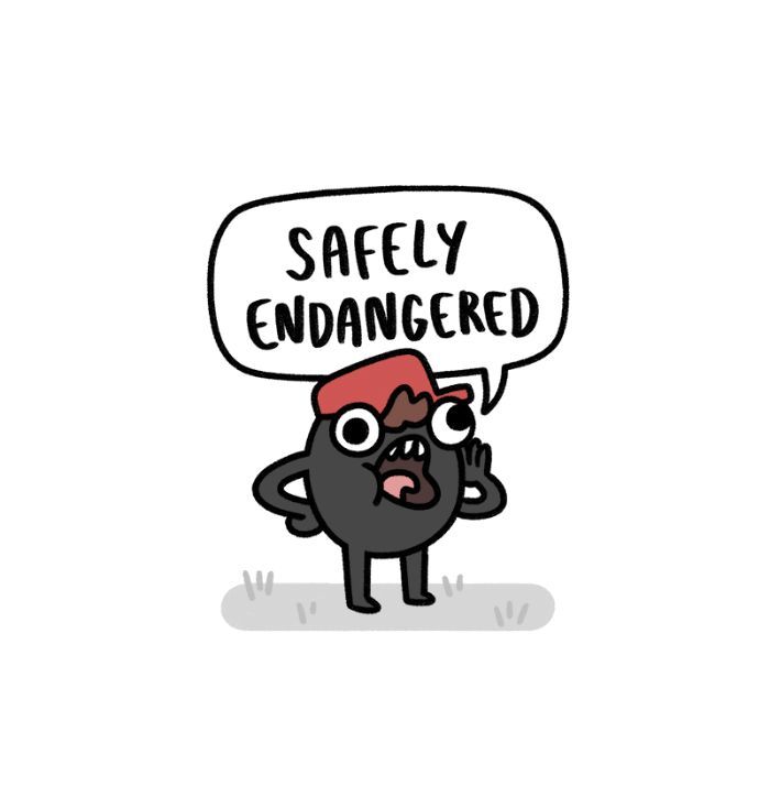 Safely Endangered 80