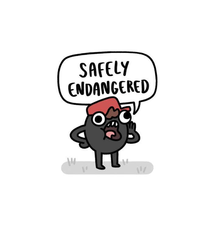 Safely Endangered 81