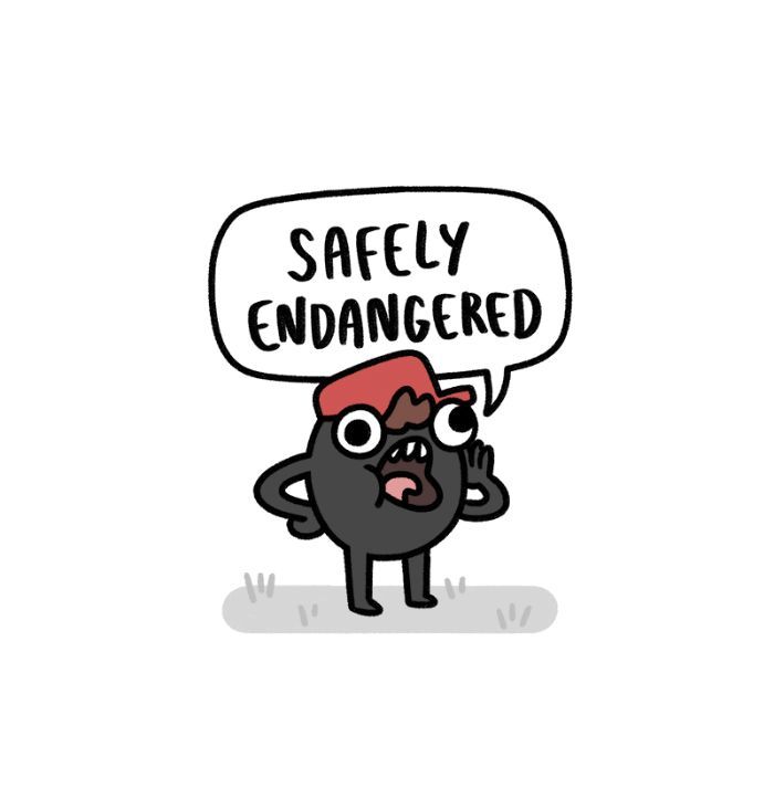 Safely Endangered 82