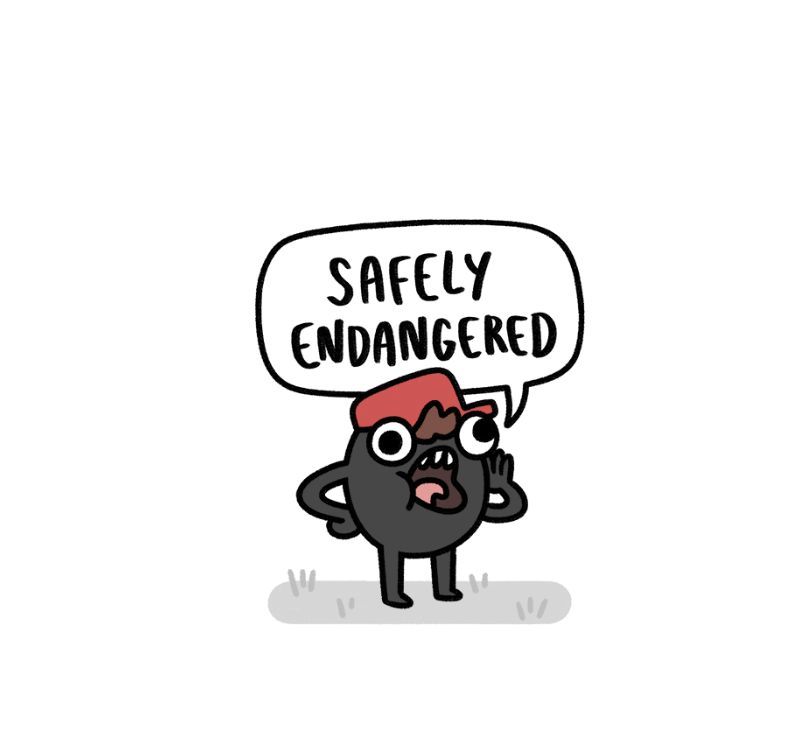 Safely Endangered 184