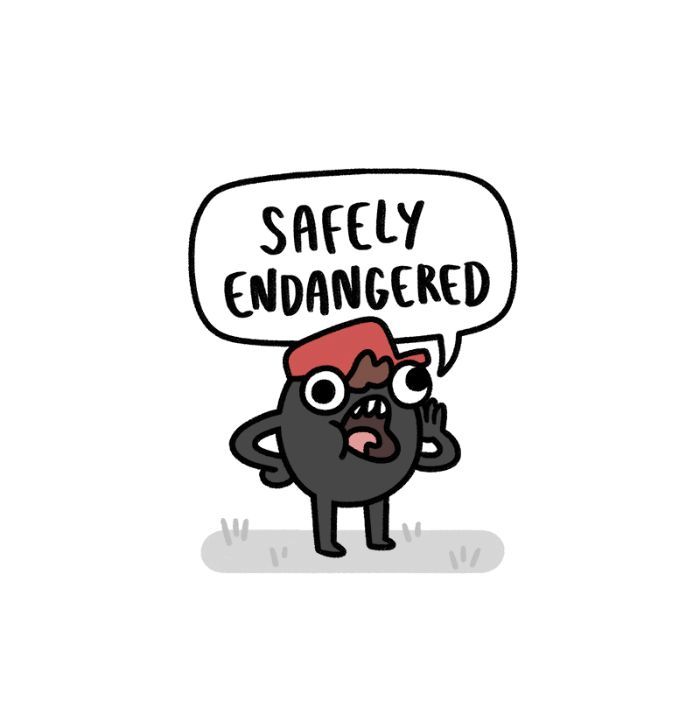 Safely Endangered 213