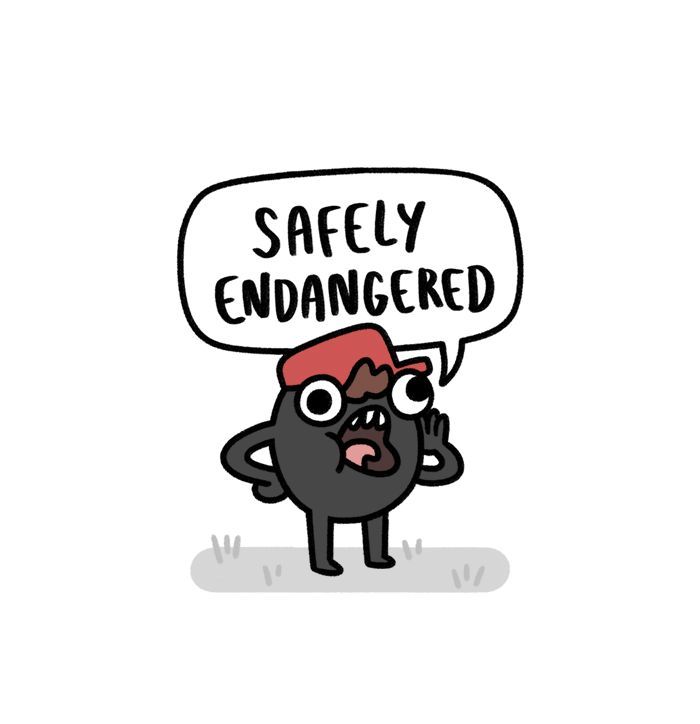 Safely Endangered 241