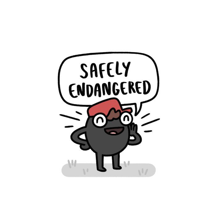 Safely Endangered 249