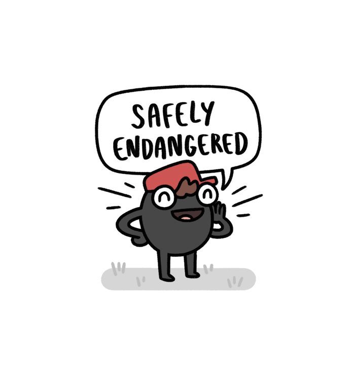 Safely Endangered 265