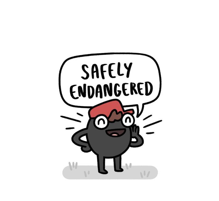 Safely Endangered 296