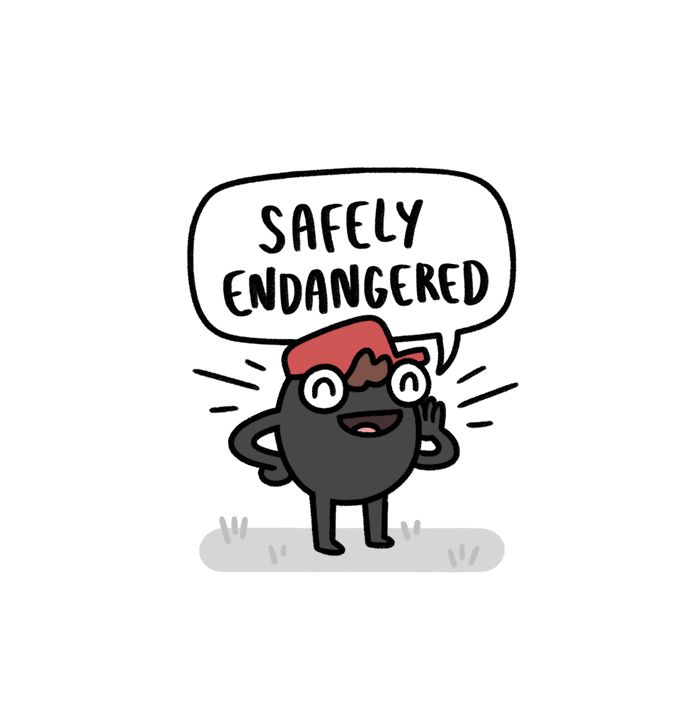 Safely Endangered 303