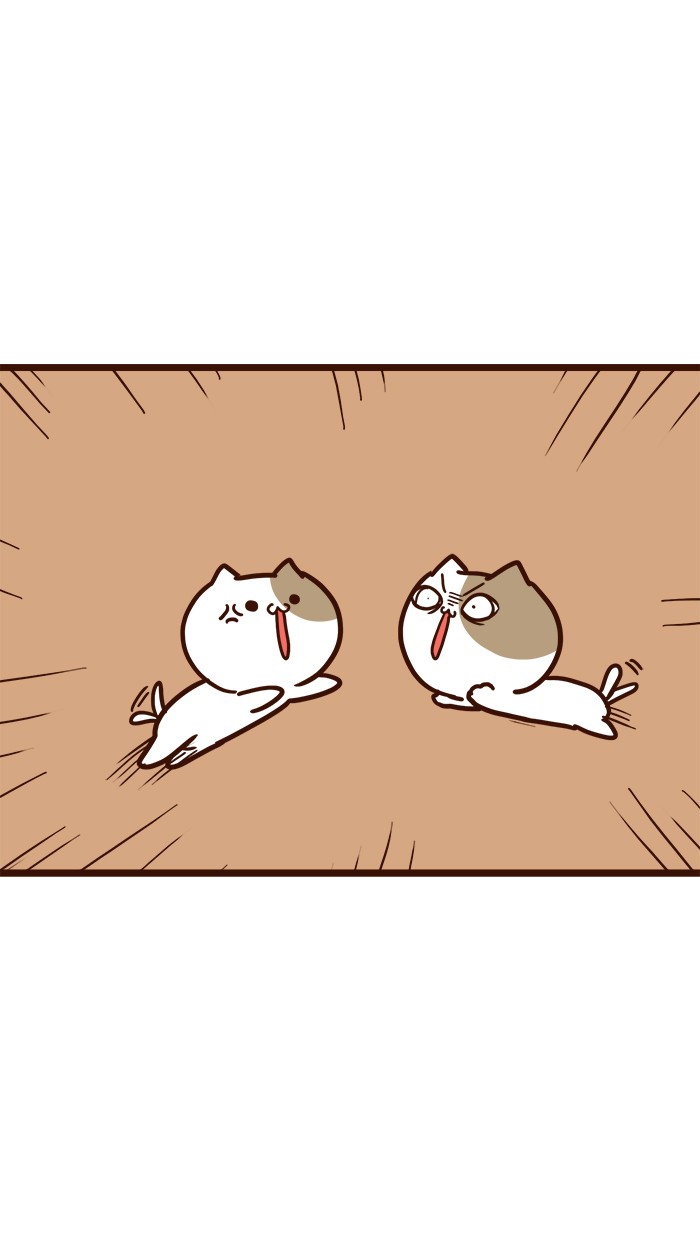 The Salary Man & Tofu the Funny Cat Ch.011