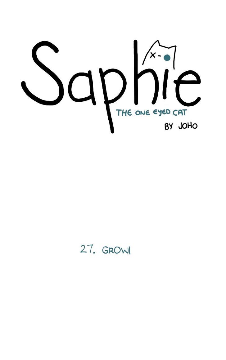 Saphie: The One-Eyed Cat 27