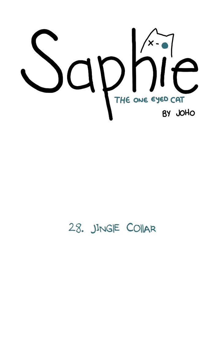 Saphie: The One-Eyed Cat 28