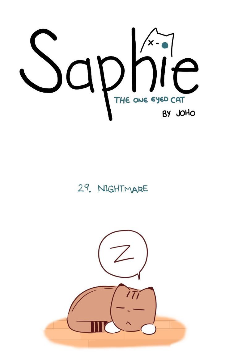 Saphie: The One-Eyed Cat 29