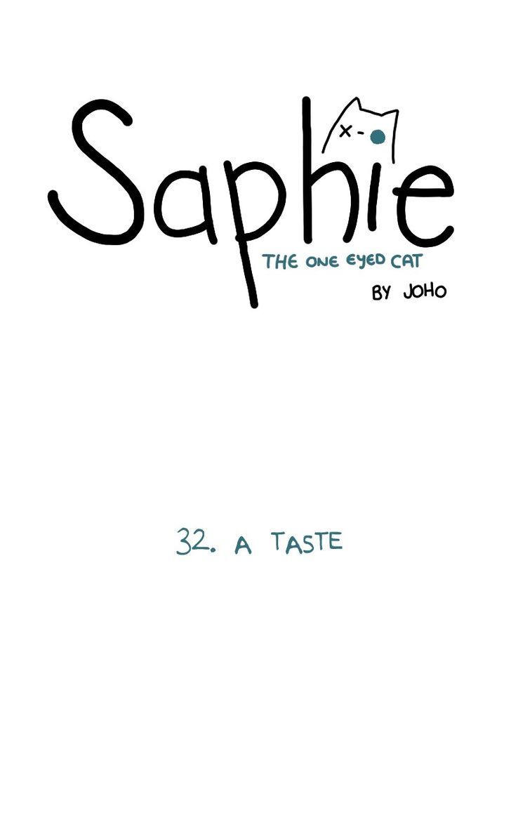 Saphie: The One-Eyed Cat 32