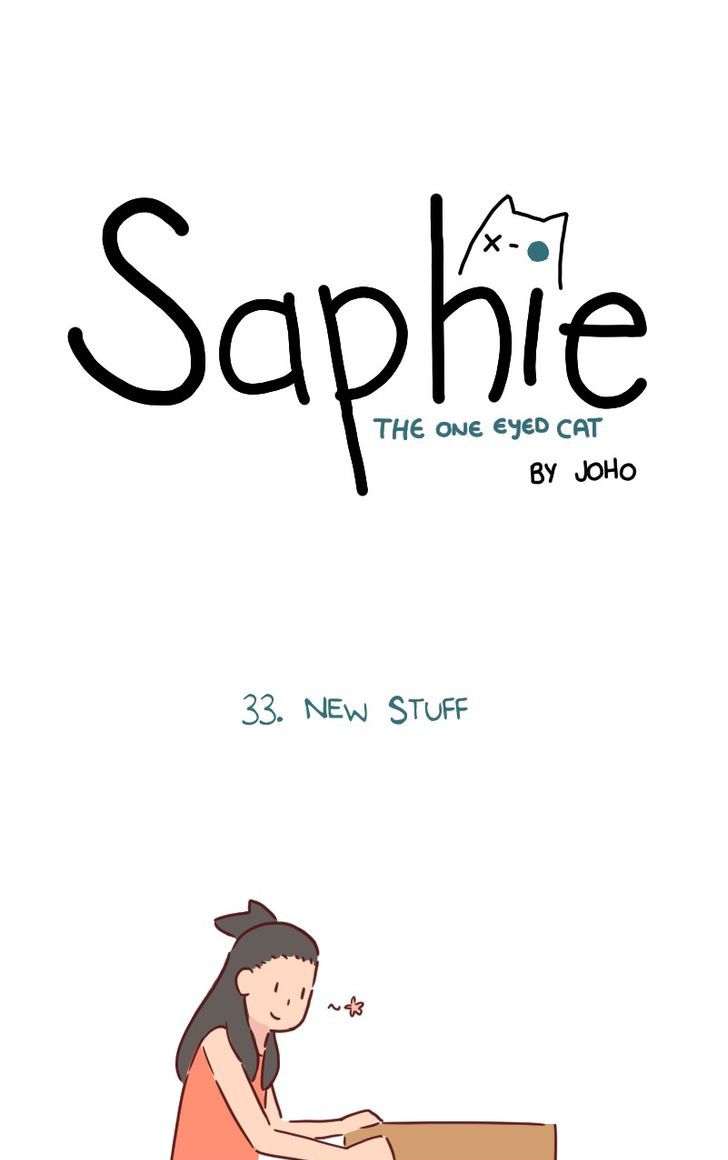 Saphie: The One-Eyed Cat 33