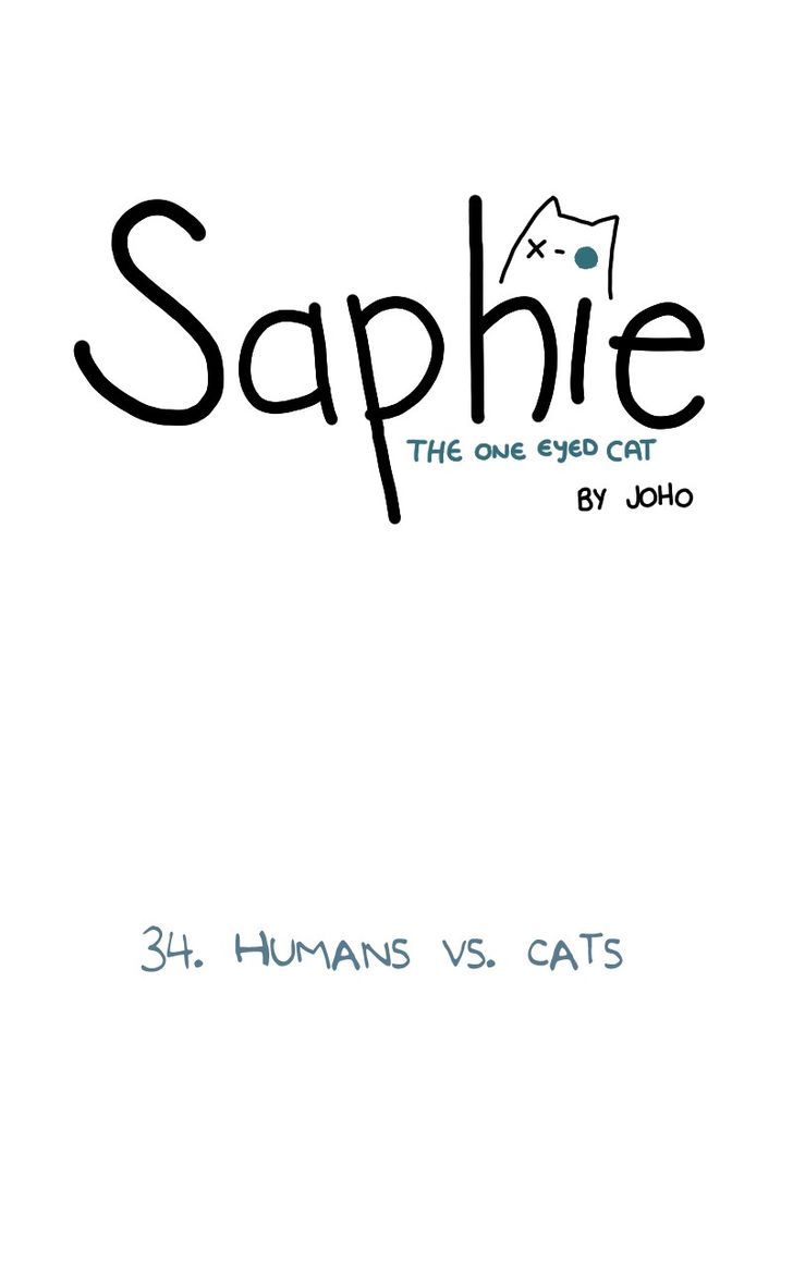 Saphie: The One-Eyed Cat 34