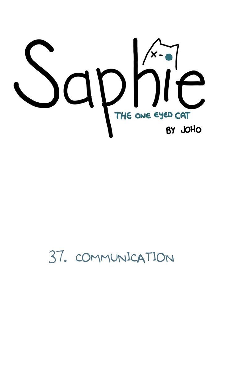 Saphie: The One-Eyed Cat 37