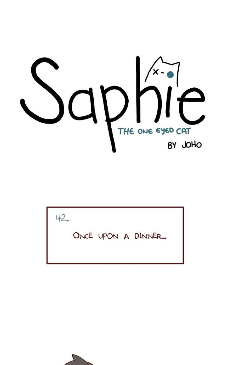 Saphie: The One-Eyed Cat 42