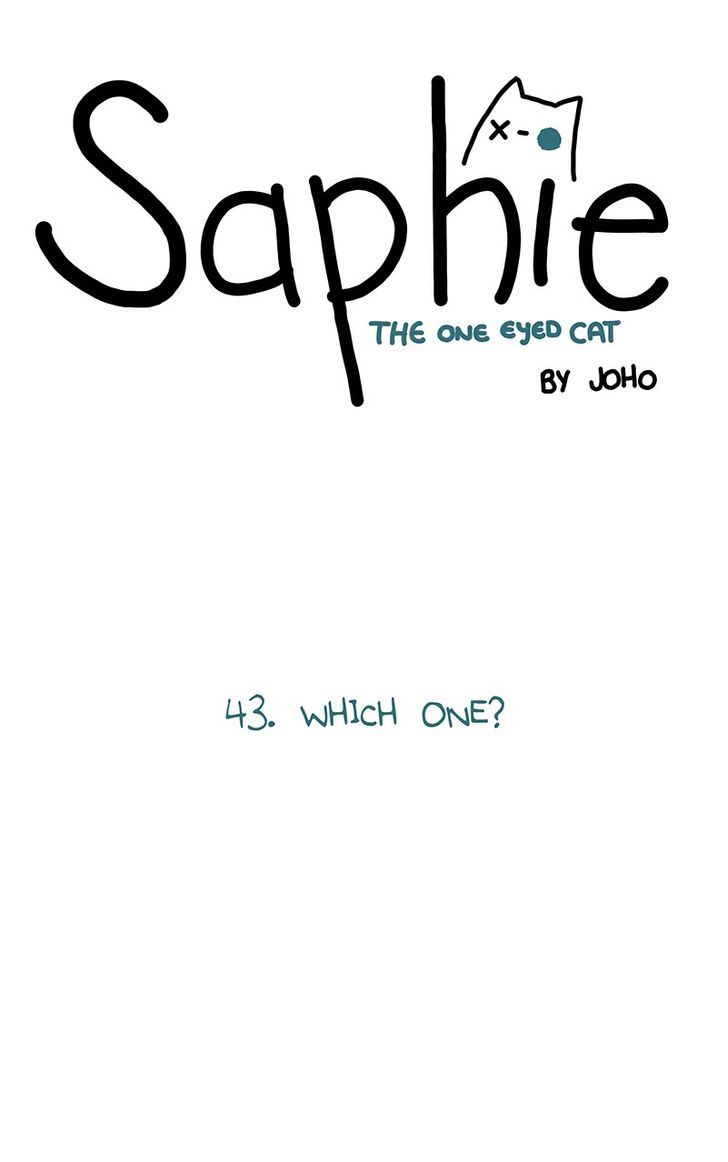 Saphie: The One-Eyed Cat 43