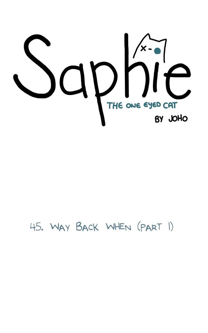Saphie: The One-Eyed Cat 45