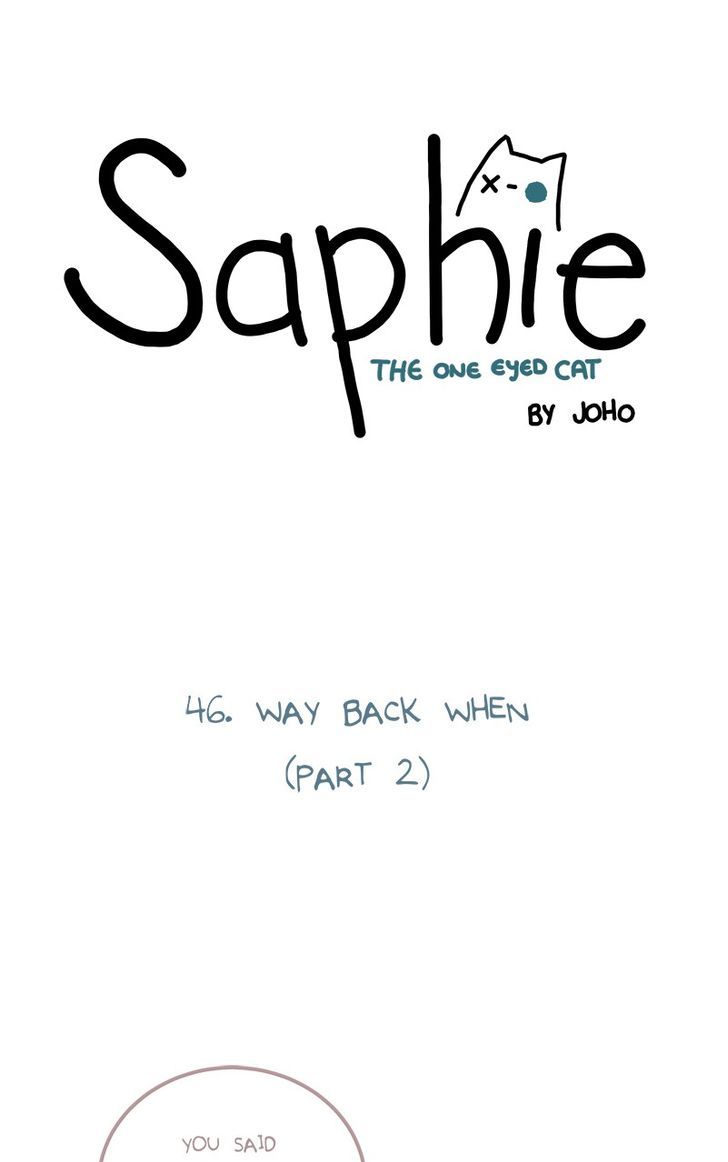 Saphie: The One-Eyed Cat 46