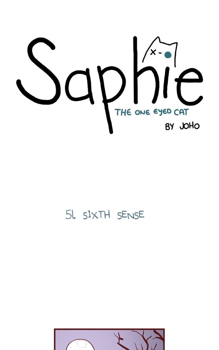 Saphie: The One-Eyed Cat 51