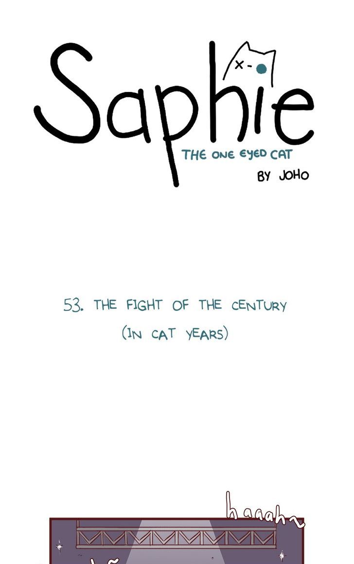Saphie: The One-Eyed Cat 53