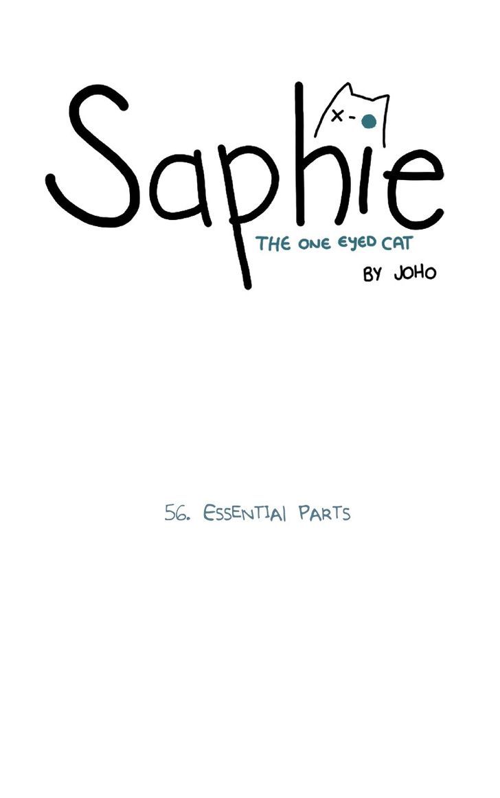 Saphie: The One-Eyed Cat 56