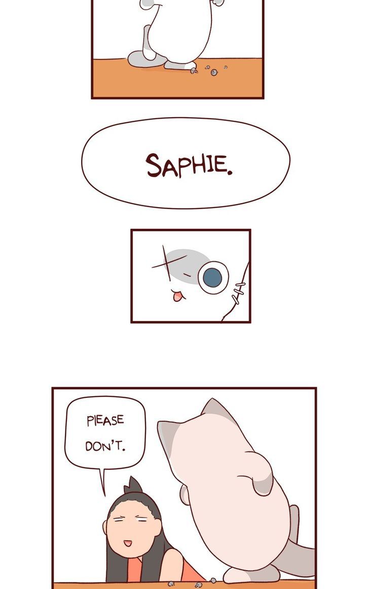 Saphie: The One-Eyed Cat 56
