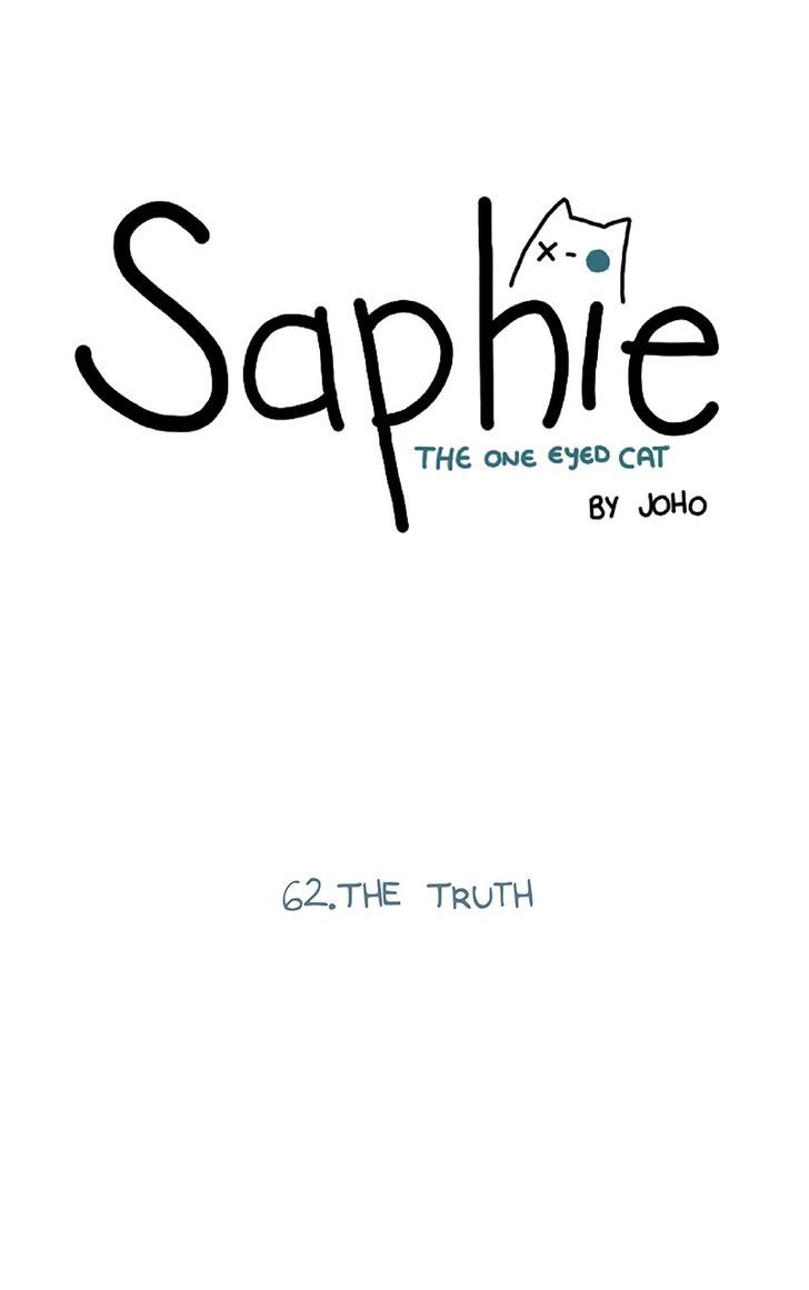 Saphie: The One-Eyed Cat 62