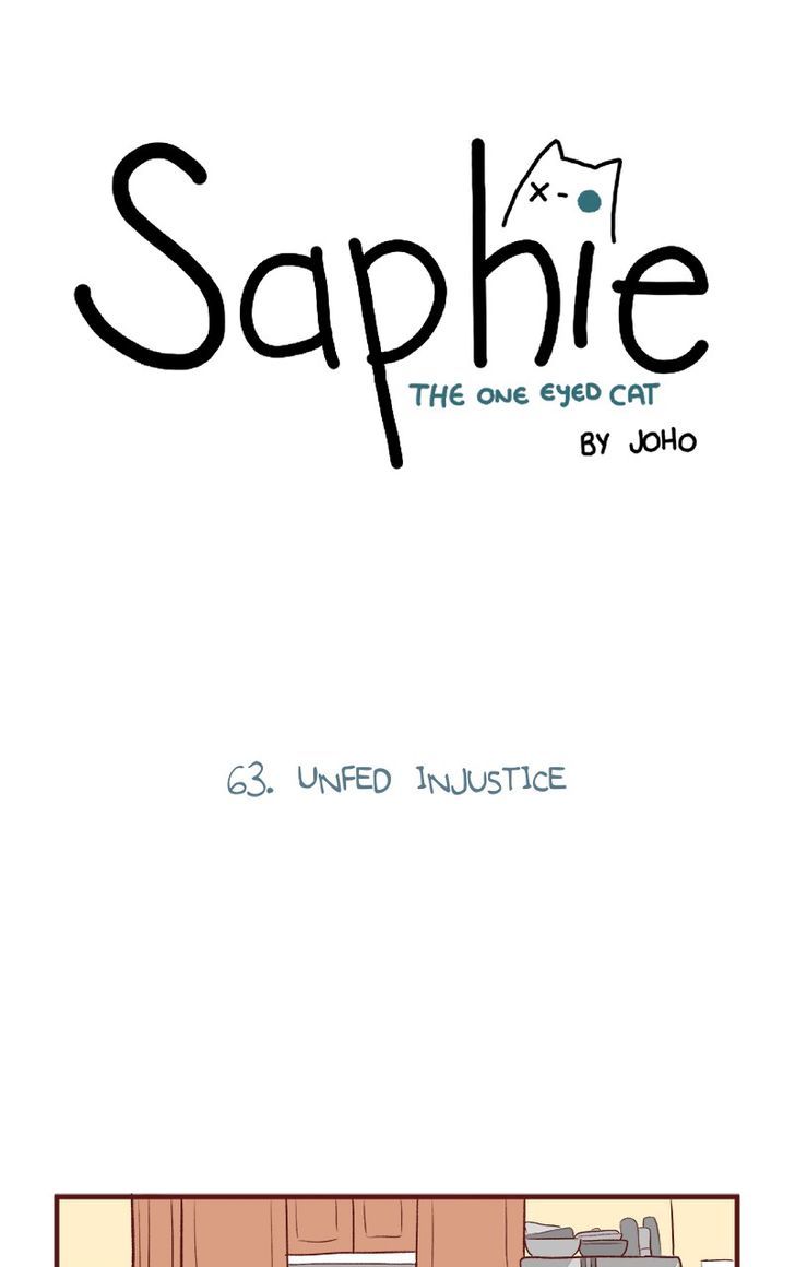 Saphie: The One-Eyed Cat 63