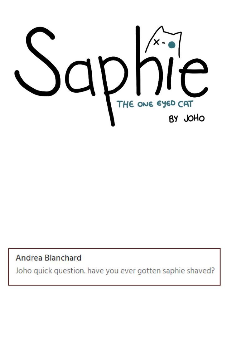 Saphie: The One-Eyed Cat 91