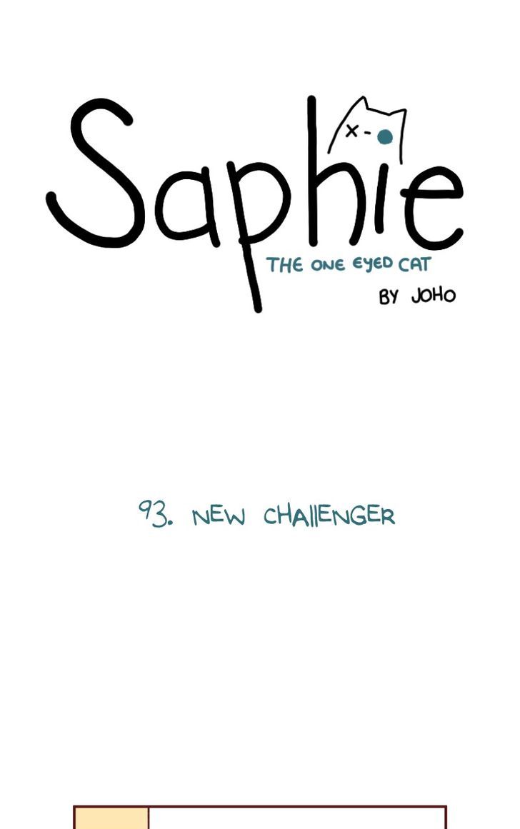 Saphie: The One-Eyed Cat 93