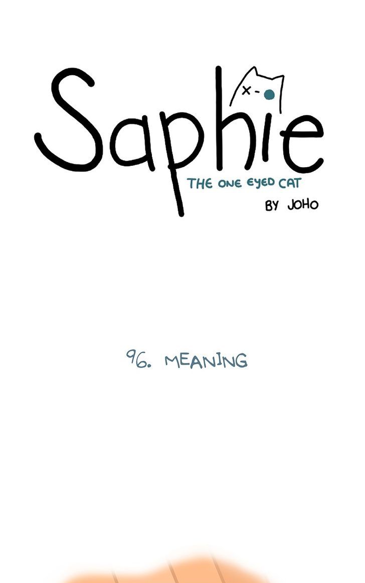 Saphie: The One-Eyed Cat 96