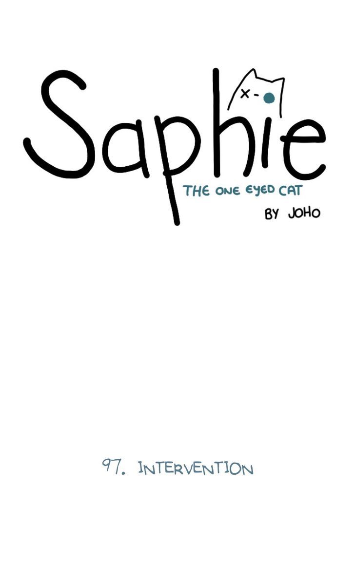 Saphie: The One-Eyed Cat 97