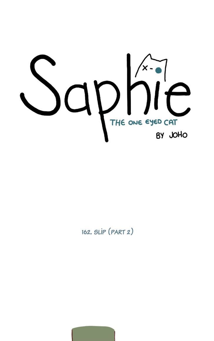 Saphie: The One-Eyed Cat 162