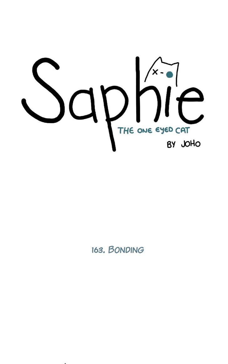 Saphie: The One-Eyed Cat 163