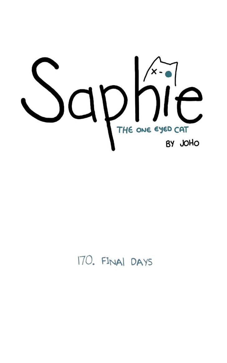 Saphie: The One-Eyed Cat 170