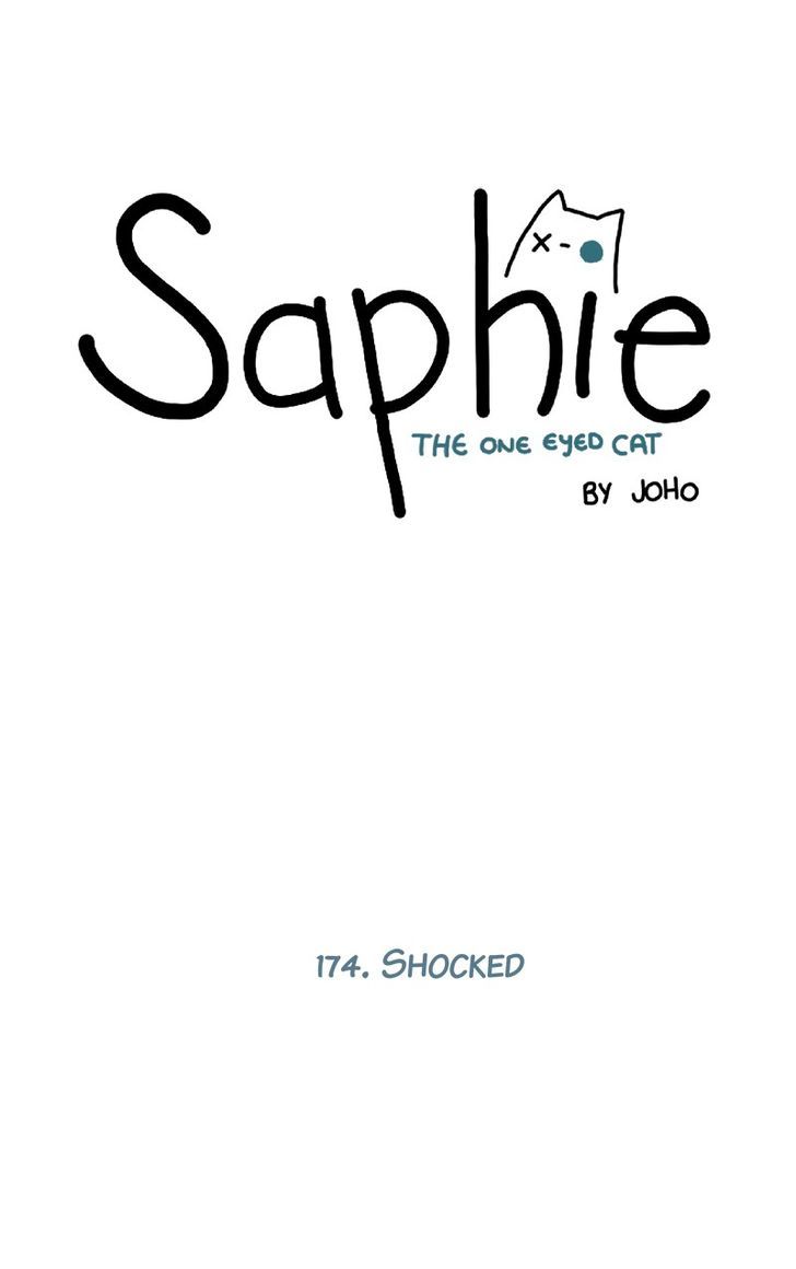 Saphie: The One-Eyed Cat 174
