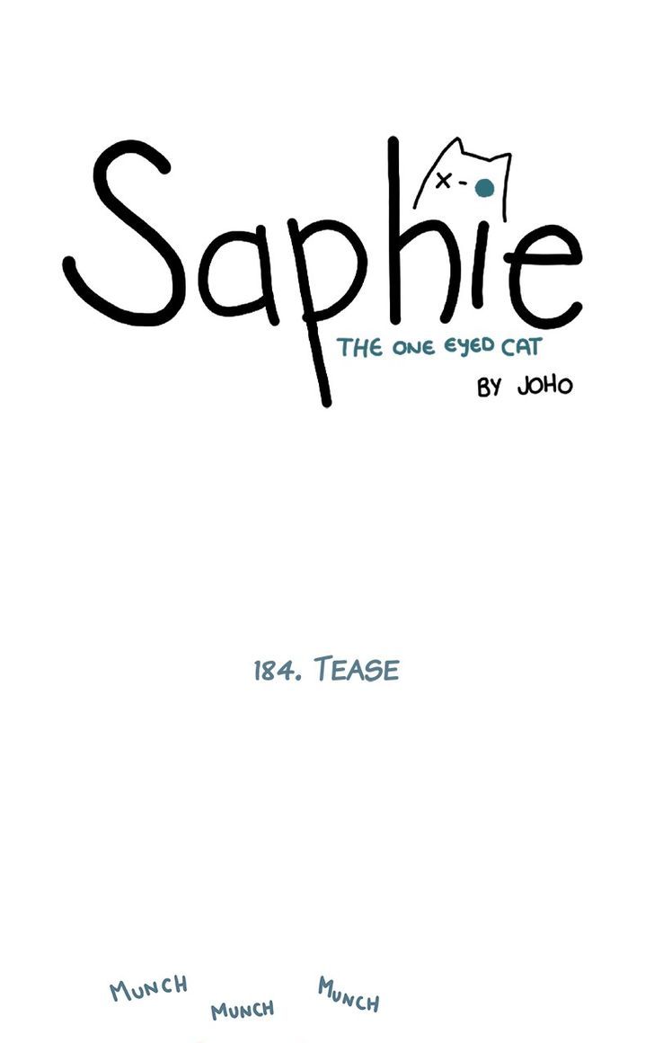 Saphie: The One-Eyed Cat 184