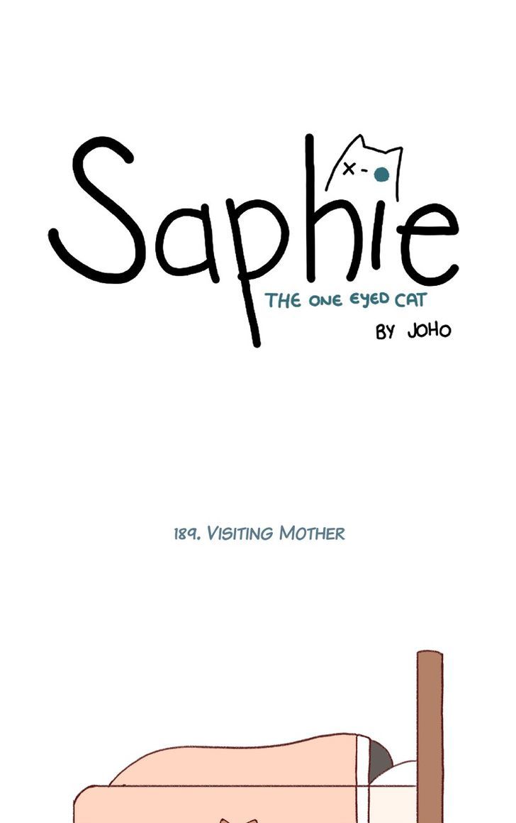 Saphie: The One-Eyed Cat 189