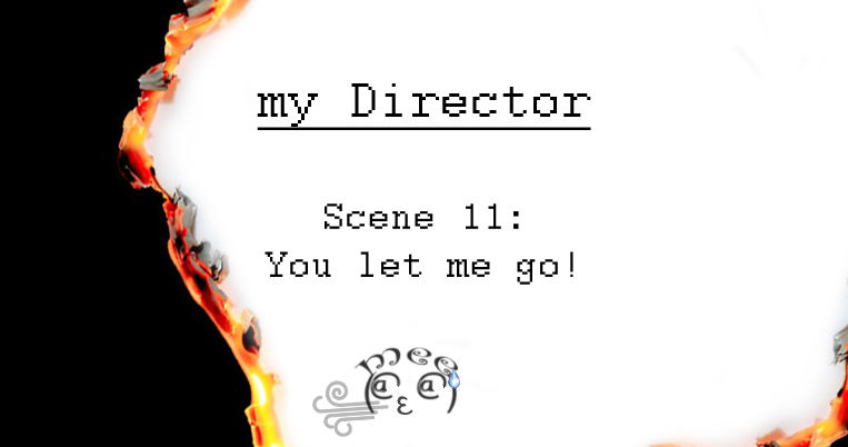 My Director 11