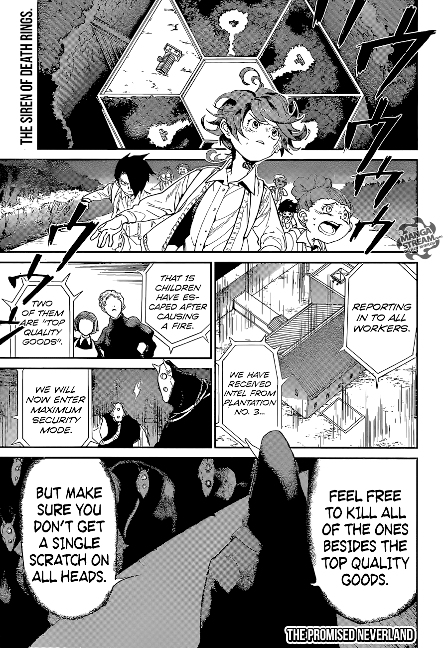 The Promised Neverland 036
