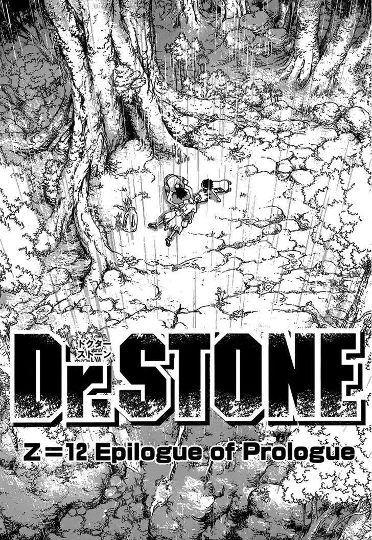 Dr. Stone 12