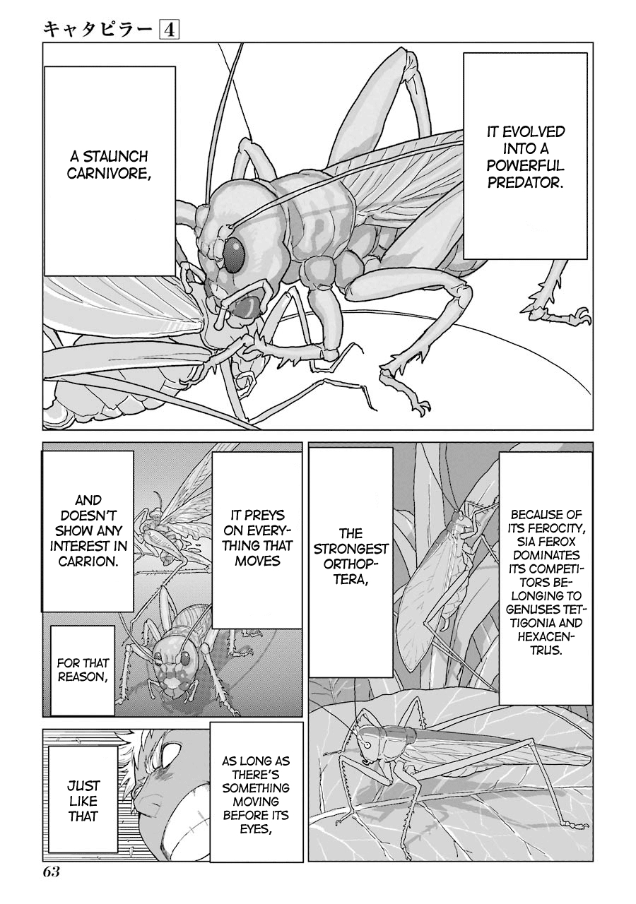 Caterpillar Vol. 4 Ch. 27 I Told You It's Useless, Don't You Get It?!
