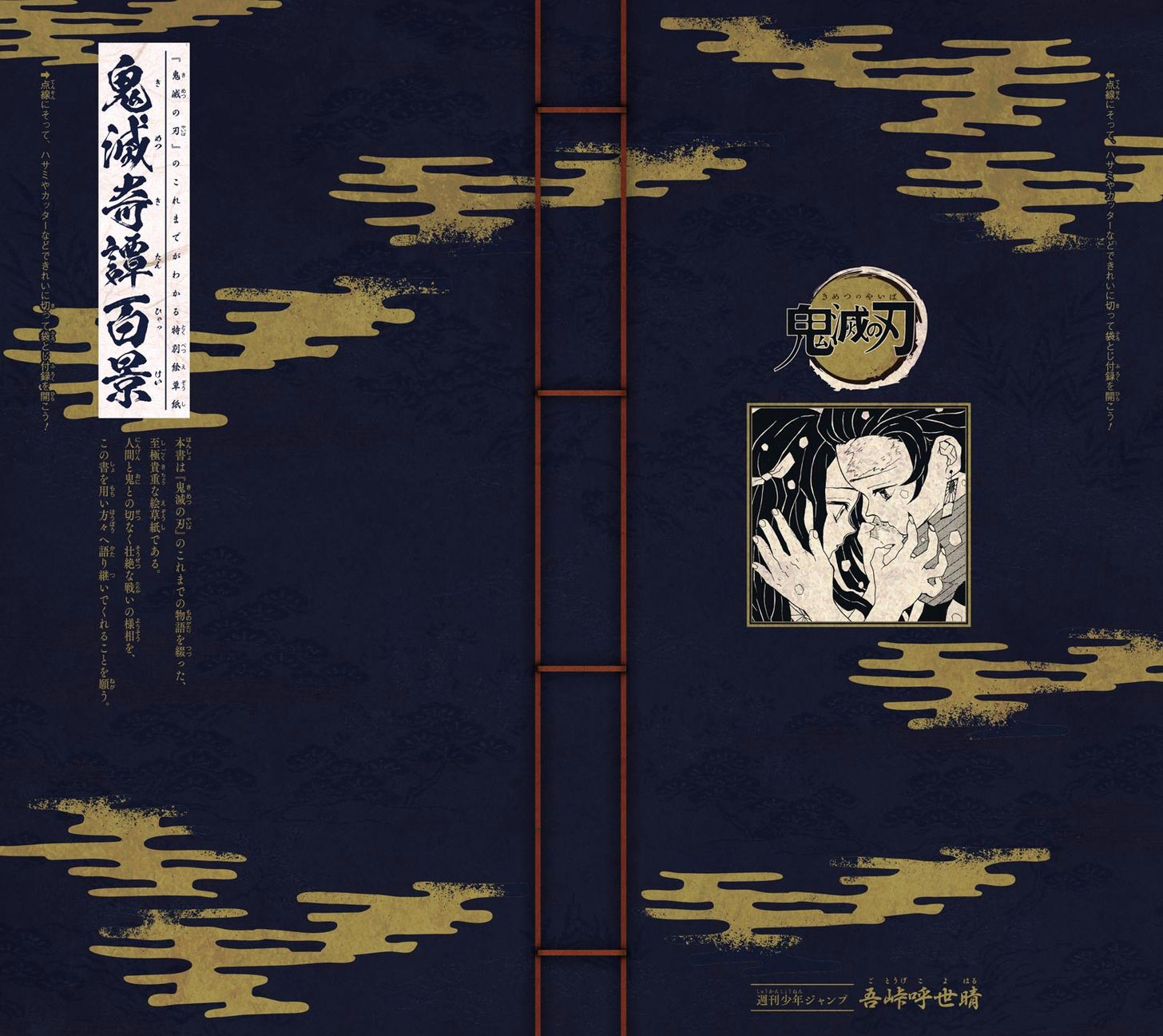 Kimetsu no Yaiba 112.5