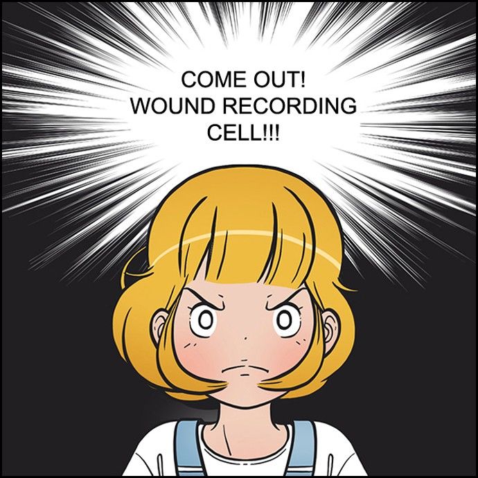 Yumi's Cells 147