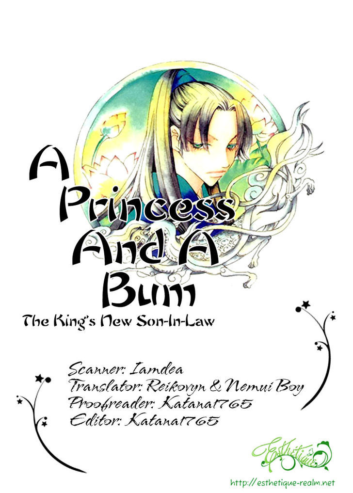 Princess and a Bum 9